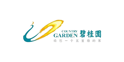 ‌碧桂园控股有限公司